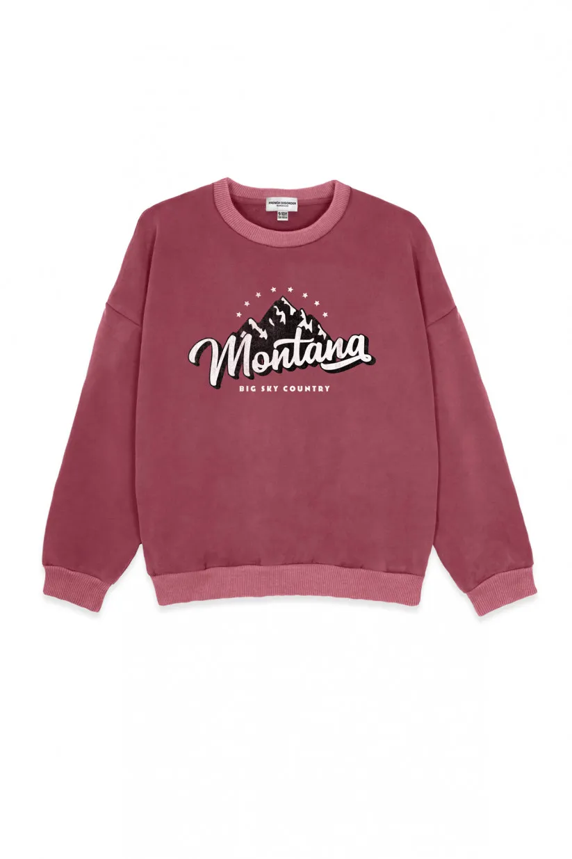 Sweat kids washed MONTANA en coton by French Disorder